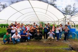 Puebla y Chile fortalecen la floricultura mediante intercambio de experiencias