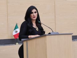 “ME DA VERGÜENZA SER PARTE DE ESTA LEGISLATURA”: DELFINA POZOS