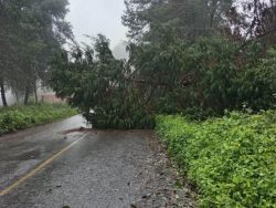 En Tehuacán el clima sigue causando fuertes daños en las comunidades de Coyomeapan